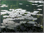 foto Lago di Levico
